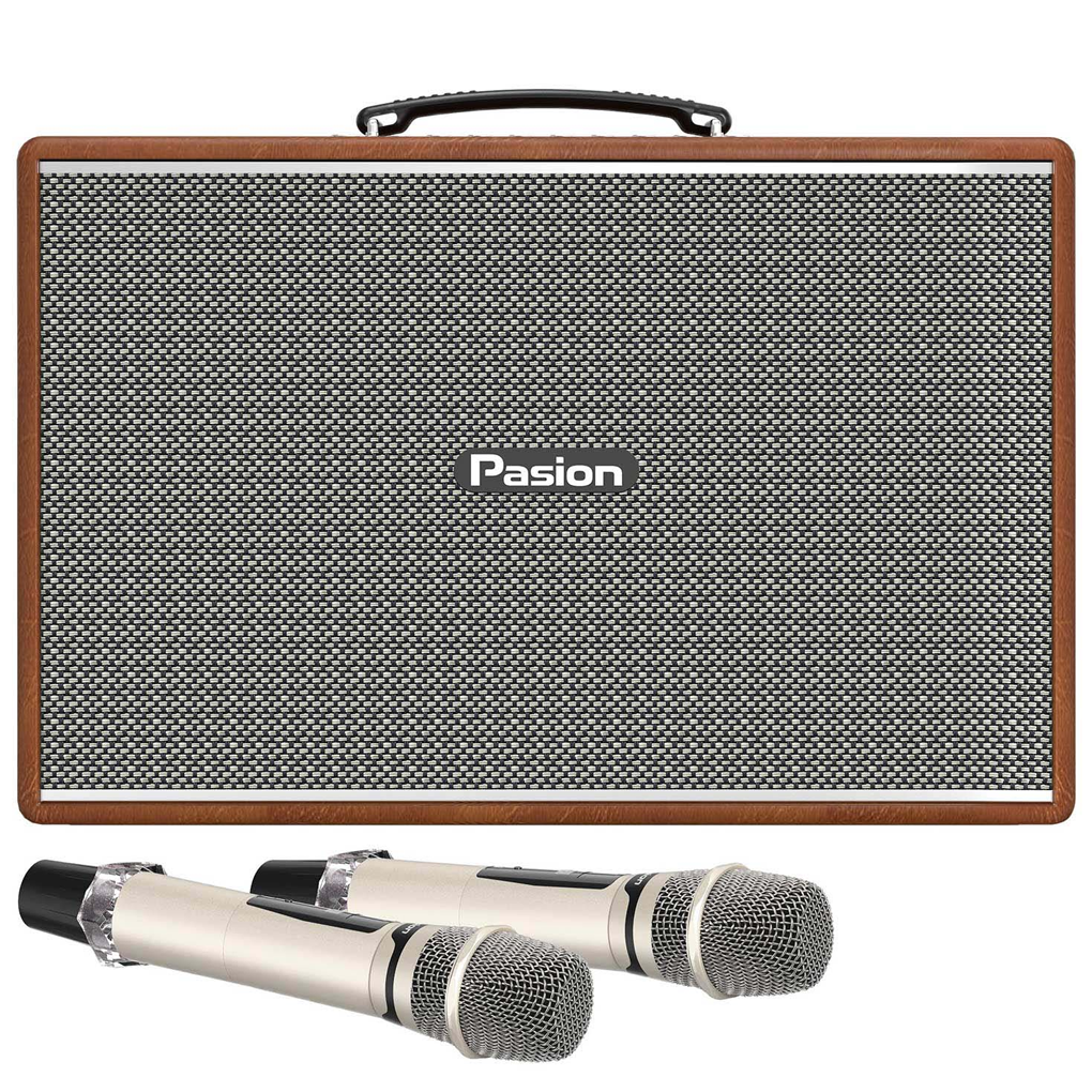 loa-di-dong-xach-tay-paramax-pasion-mozo-mau-nau-main--793