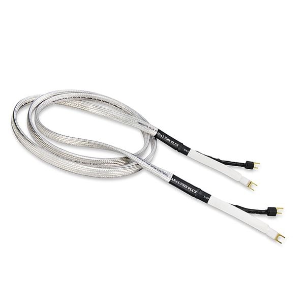 bigsilveroval-speaker-800_3640f0e14cf84d65ad5a0fc845eaa0d5_grande